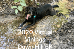 Vinings5K_2020_0003