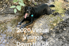 Vinings5K_2020_0021