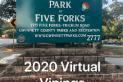Vinings5K_2020_0022
