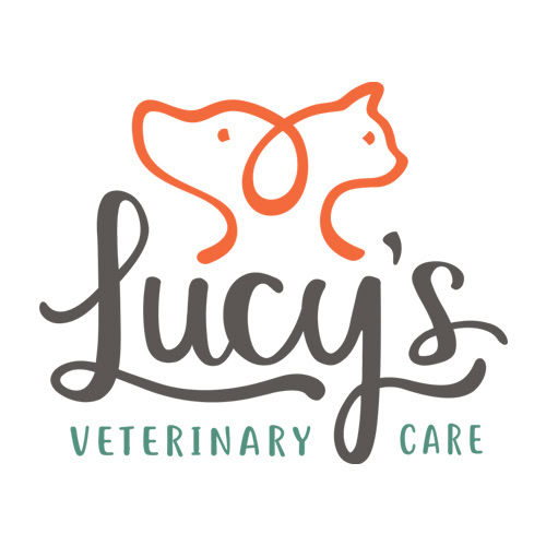 lucys-vet-care_500px